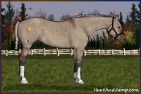 Horse Color:Silver Brown Dun Brindle 