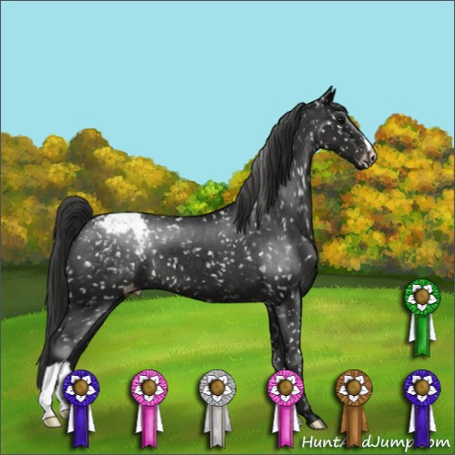 Horse Color:Gray Smoky Black Pearl Snowcap