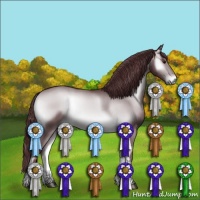 Horse Color:Chocolate Brown Chinchilla Onyx