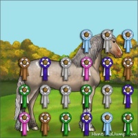 Horse Color:Silver Brown Dun Appaloosa 