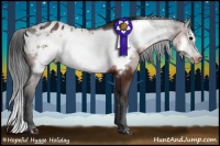 Horse Color:Brown Frame Appaloosa 