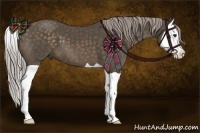 Horse Color:Chocolate Palomino Splash