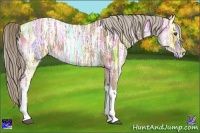 Horse Color:Chocolate Palomino Ice 
