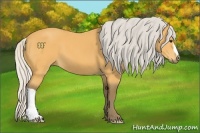 Horse Color:Silver Buckskin 