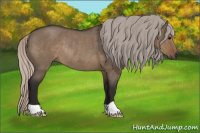 Horse Color:Gray Silver Grullo Roan Rabicano