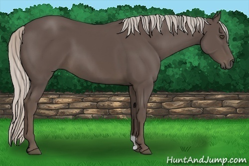 Horse Color:Silver Black 