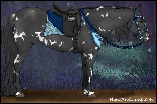Horse Color:White Spotted Black 