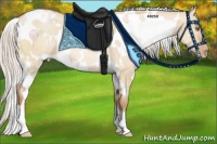 Horse Color:White Spotted Silver Bay Pearl Dun