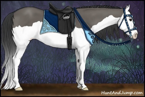 Horse Color:Grullo Splash 