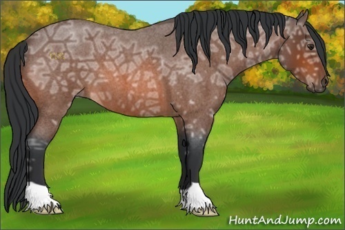 Horse Color:Bay Ice Roan 