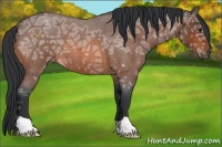 Horse Color:Bay Ice Roan 