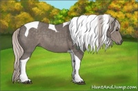Horse Color:Silver Black Tobiano 