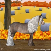 Horse Color:Liver Chestnut Mushroom Rabicano