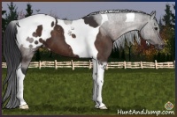 Horse Color:Brown Sabino Tobiano Varnish 
