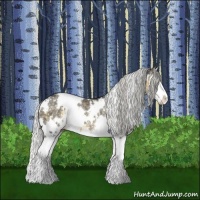 Horse Color:White Spotted Silver Smoky Black Chinchilla Sabino Splash Rabicano 