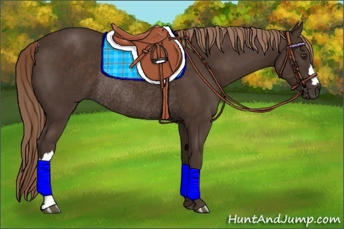 Horse Color:Liver Chestnut Rabicano 