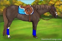 Horse Color:Liver Chestnut Rabicano