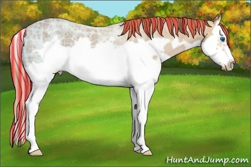 Horse Color:Painted Chestnut Ice Splash Frame 