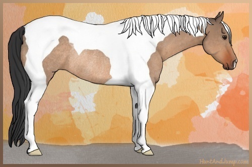 Horse Color:Brown Dun Tobiano Rabicano