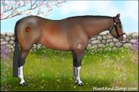 Horse Color:Bay Splash 