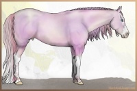 Horse Color:Watercolor Smoky Black Pearl Sabino Splash