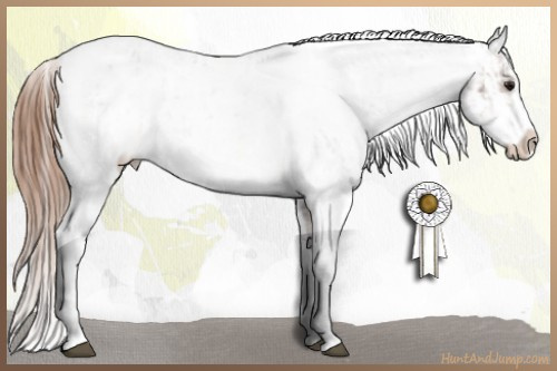 Horse Color:Bay Dun Sabino Varnish Brindle and Bay Dun Sabino Varnish Brindle