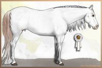 Horse Color:Bay Dun Sabino Varnish Brindle  and Bay Dun Sabino Varnish Brindle 