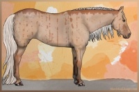 Horse Color:Silver Bay Dun 