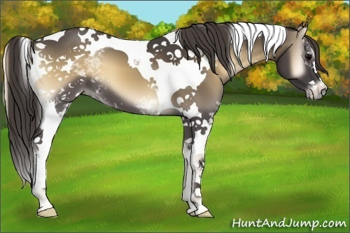 Horse Color:White Spotted Smoky Blue Onyx Tobiano
