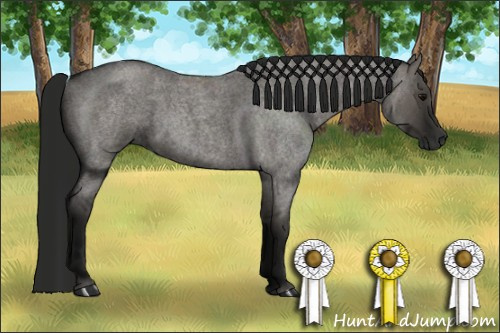 Horse Color:Gray Grullo Roan 