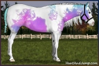 Horse Color:Watercolor Brown Splash Tobiano 