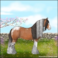 Horse Color:Bay Splash Tobiano Varnish  and Bay Splash Tobiano Varnish 