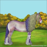 Horse Color:Watercolor Bay Onyx 