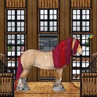 Horse Color:Painted Buckskin Roan Sabino Rabicano 