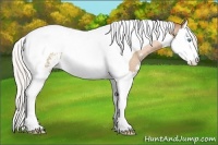 Horse Color:Silver Buckskin Pearl Sabino Splash Tobiano 