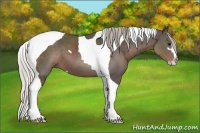 Horse Color:Silver Black Sabino Tobiano 