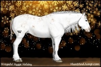 Horse Color:Black Pearl Sabino 