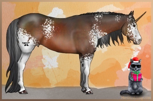 Horse Color:White Spotted Brown Sabino 