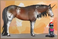 Horse Color:White Spotted Brown Sabino