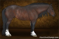 Horse Color:Brown Sabino Rabicano