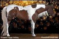 Horse Color:Silver Brown Tobiano Blanket 