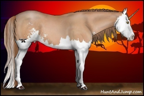 Horse Color:Brown Pearl Sabino Splash 