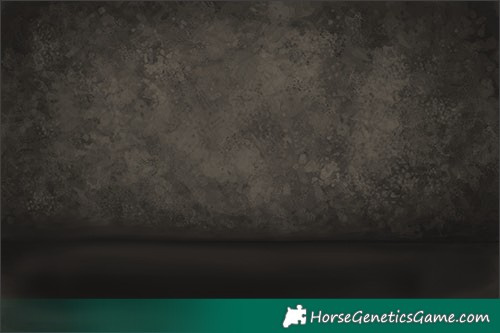 Horse Color:White Spotted Silver Black Sabino