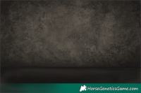 Horse Color:White Spotted Silver Black Sabino 