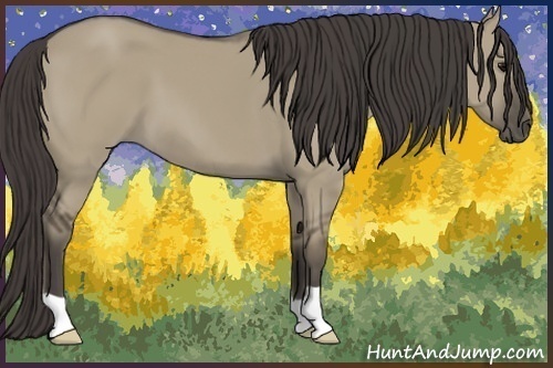Horse Color:Smoky Grullo 