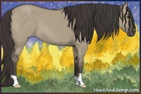 Horse Color:Smoky Grullo