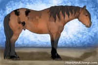 Horse Color:Void Bay Roan Blanket  and Void Bay Tobiano 