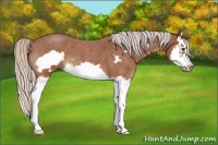 Horse Color:Silver Buckskin Roan Splash Frame 