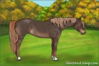 Horse Color:Liver Red Roan 