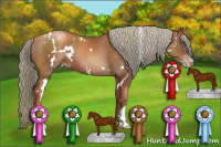 Horse Color:Gray White Spotted Gold Champagne Mushroom 
